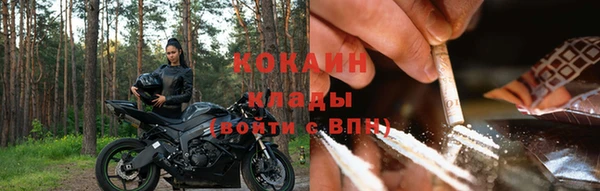 дживик Алзамай