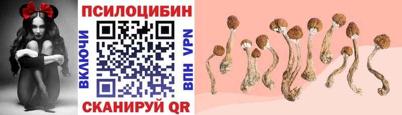 дарнет шоп  Макушино  Псилоцибиновые грибы мухоморы 