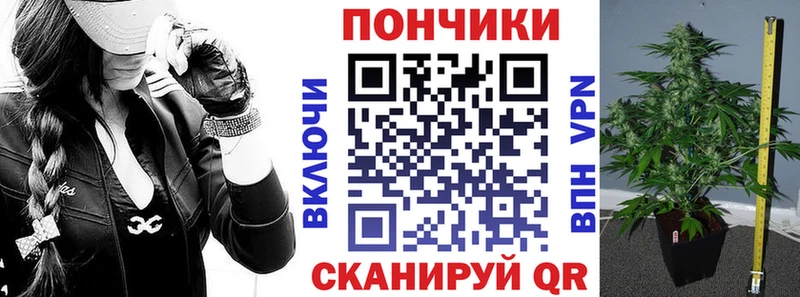 Конопля ГИДРОПОН площадка формула Макушино